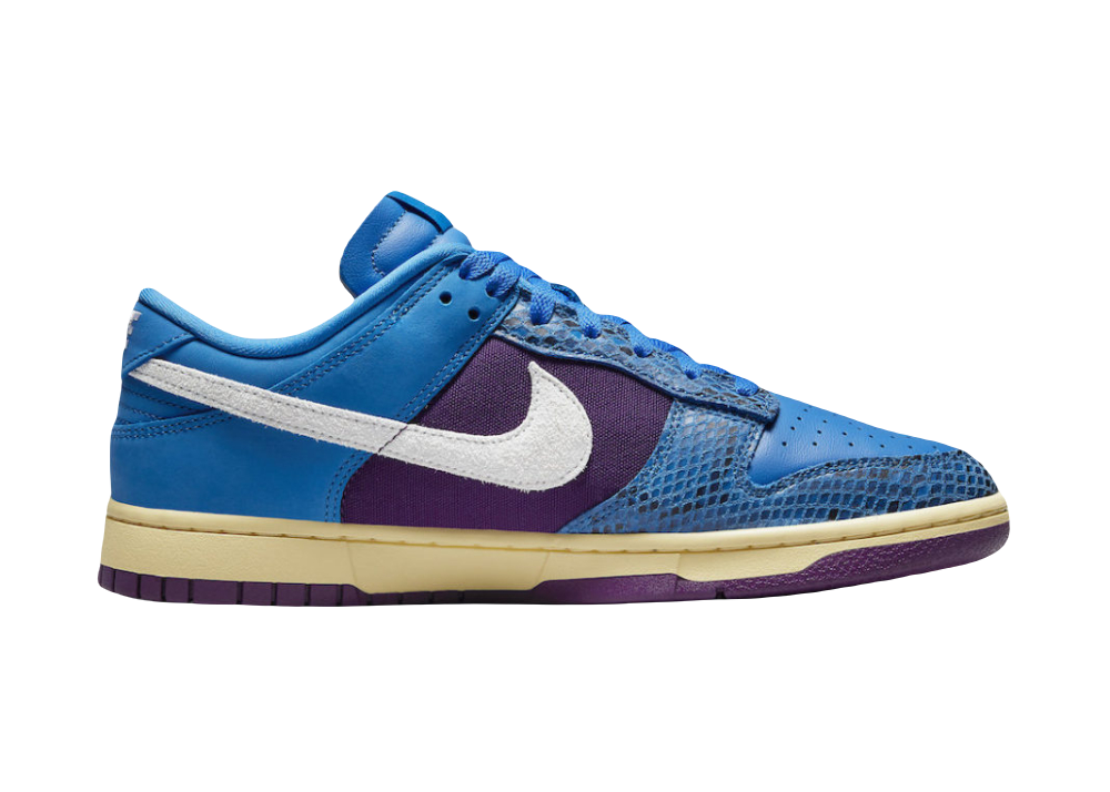 Nike Dunk Low Undefeated 5 On It