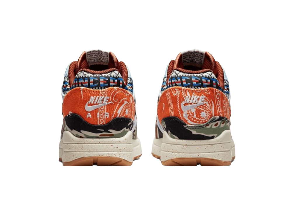 Nike Air Max 1 SP Concepts Heavy