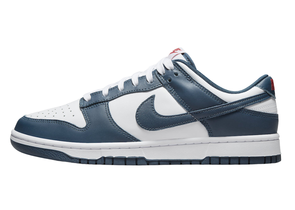 Nike Dunk Low Valerian Blue