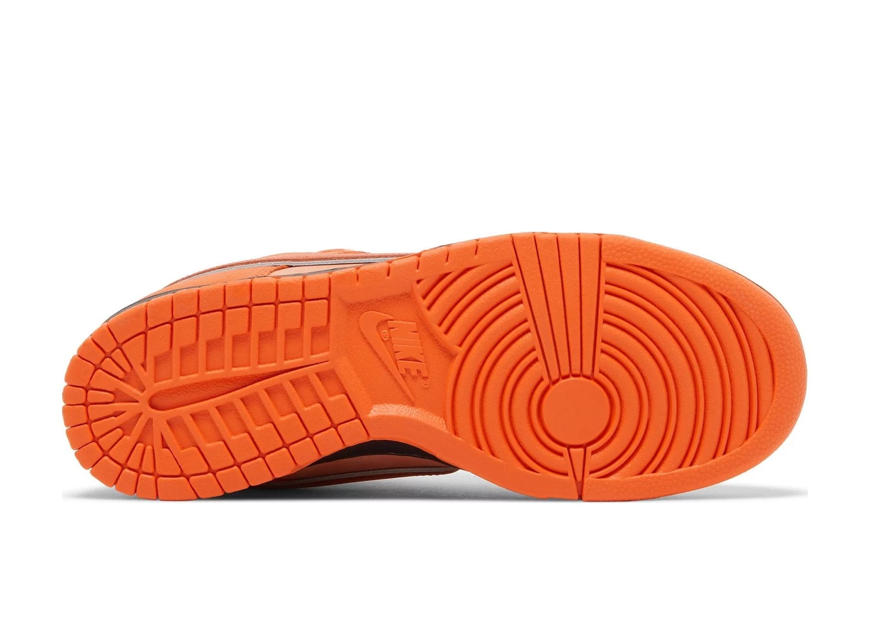 Nike SB Dunk Low Concepts Orange Lobster (Special Box)
