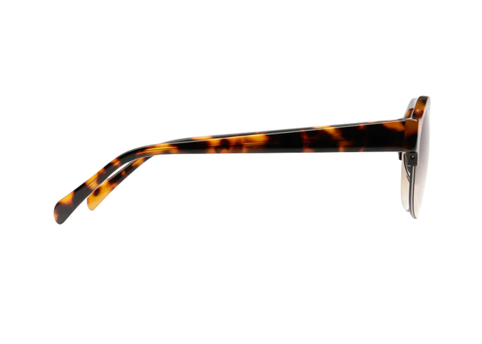 Vehla Bambi – Choc Tort / Honey